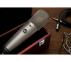 Микрофон WARM AUDIO WA-87 R2 6