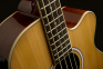 Акустична бас-гітара WASHBURN AB5 0
