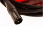 Кабель мікрофонний WARM AUDIO Prem-XLR-15' 2
