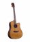 Электроакустическая гитара Prima DSAG219 E-Acoustic Guitar 1