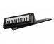 Синтезатор Korg RK-100S BK 0