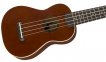 Укулеле Fender Ukulele Venice Soprano Natural Wn 1
