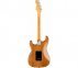 Электрогитара FENDER AMERICAN PRO II STRATOCASTER MN ROASTED PINE  0