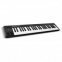 MIDI клавиатура Alesis Q49 0