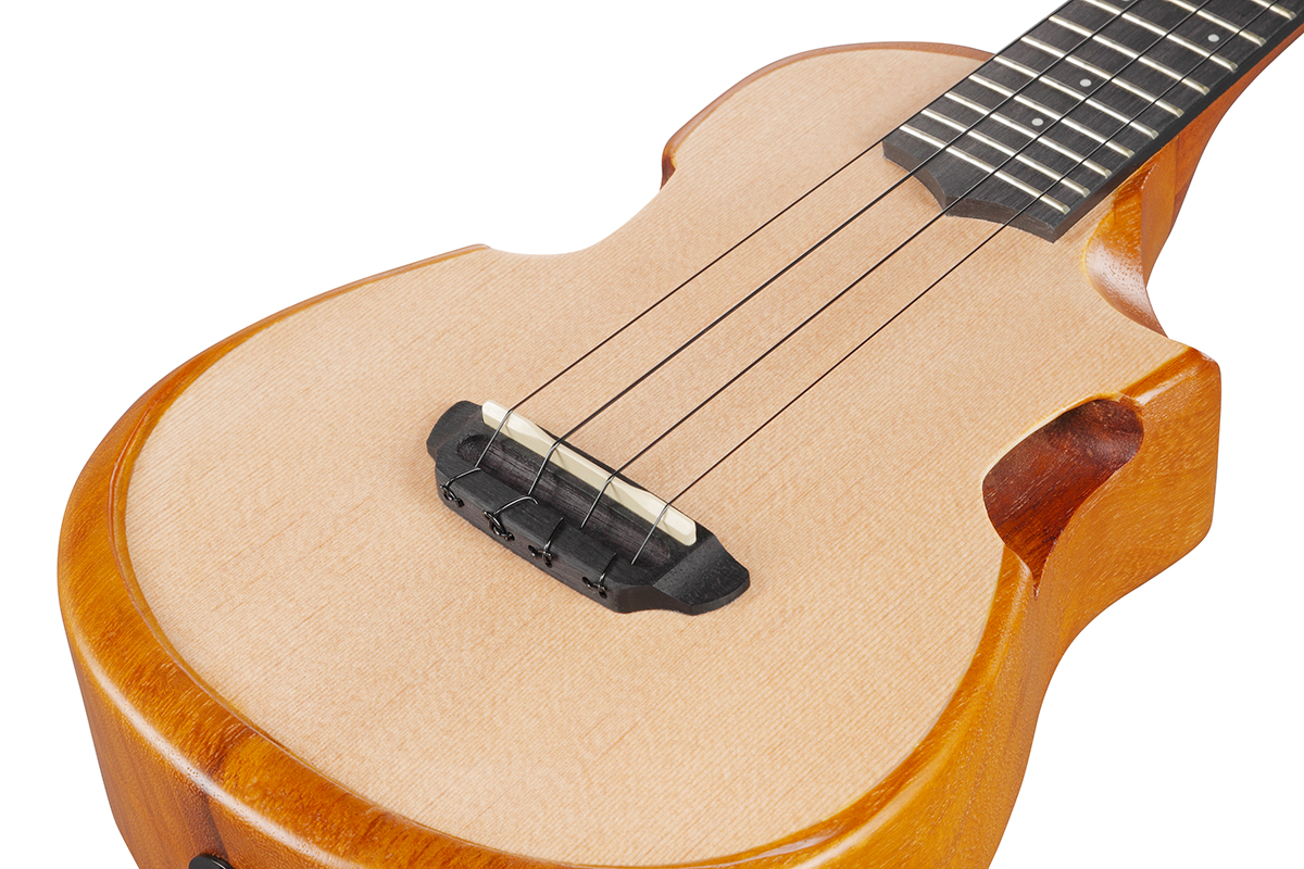Укулеле со звукоснимателем IBANEZ AUC10E OPN  11