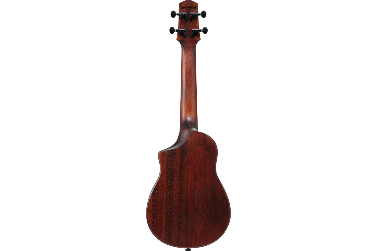 Укулеле IBANEZ AUC14 OVL  2