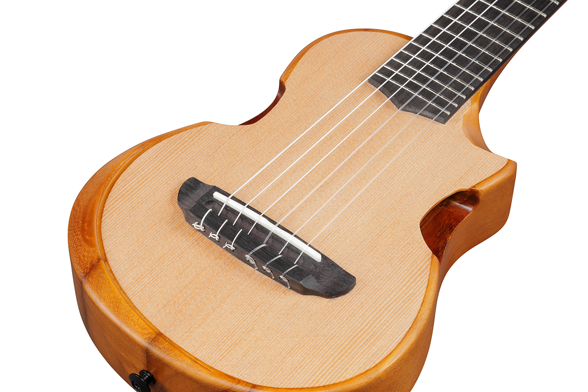 Укулеле IBANEZ AUP10N OPN  11