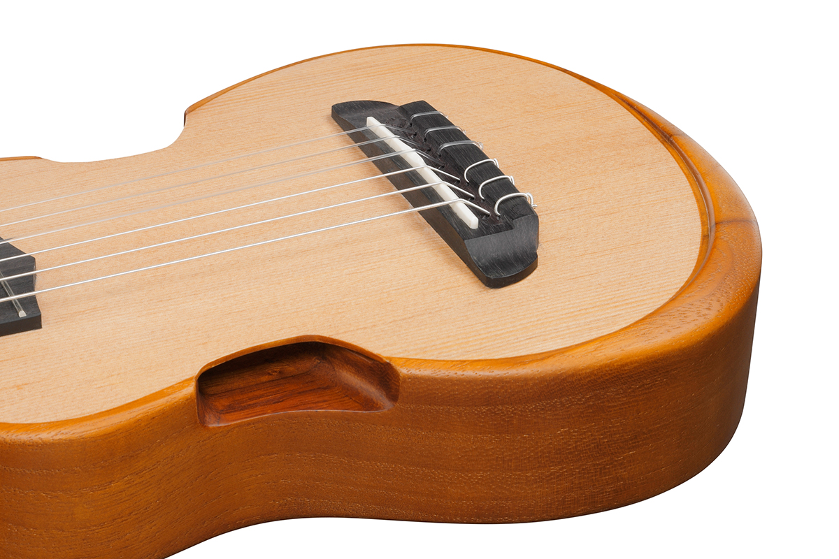 Укулеле IBANEZ AUP10N OPN  12