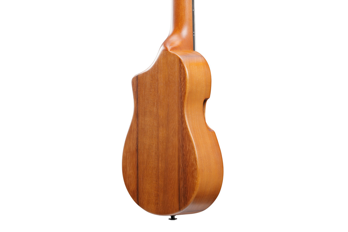 Укулеле IBANEZ AUP10N OPN  6