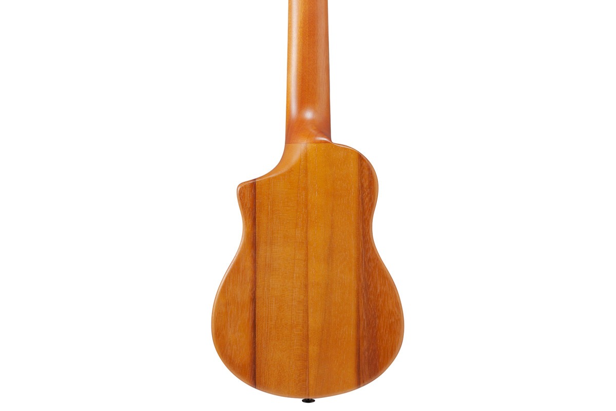 Укулеле IBANEZ AUP10N OPN  7