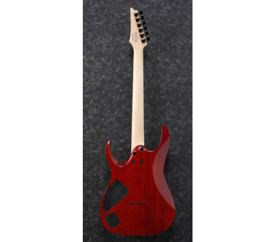 Электрогитара IBANEZ RGA42FM TGF  3