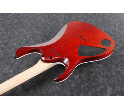 Электрогитара IBANEZ RGA42FM TGF  5