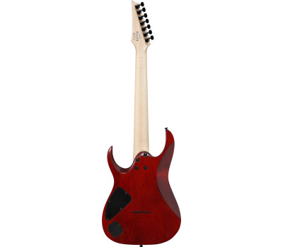 Електрогітара IBANEZ RGA742FM TGF  2