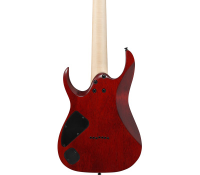 Електрогітара IBANEZ RGA742FM TGF  5