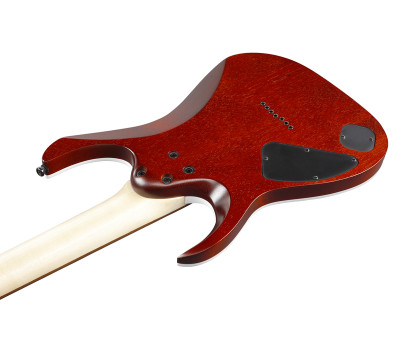 Електрогітара IBANEZ RGA742FM TGF  7