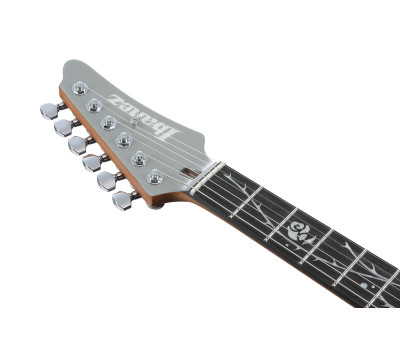 Электрогитара IBANEZ TOD10  6