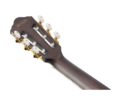 Гитара классическая IBANEZ TOD10N-BKF  12
