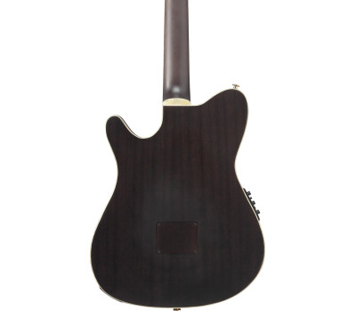 Гитара классическая IBANEZ TOD10N-BKF  5