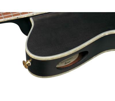 Гитара классическая IBANEZ TOD10N-BKF  8