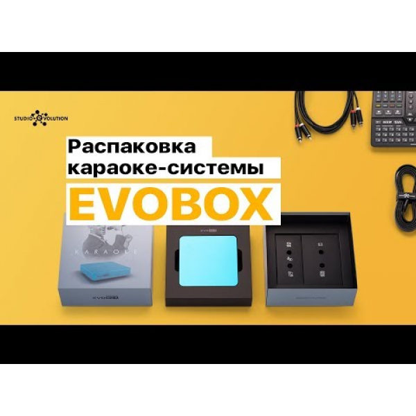 Караоке-система Studio Evolution EVOBOX (Gold) 11 Караоке-система Studio Evolution EVOBOX (Gold) 11