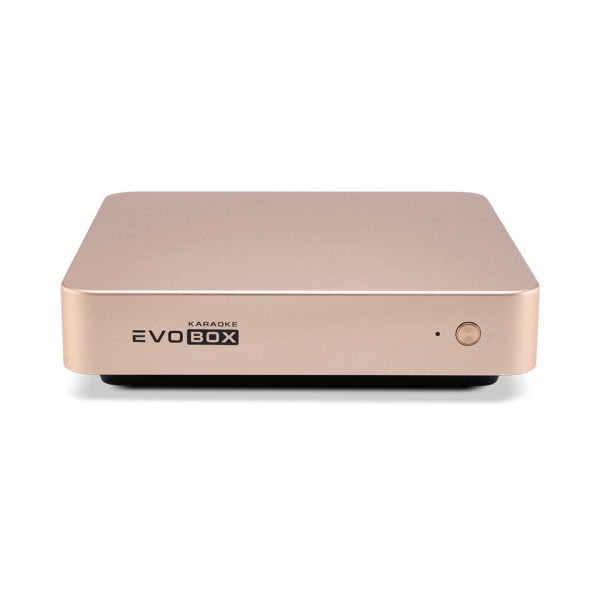 Караоке-система Studio Evolution EVOBOX (Gold) 2 Караоке-система Studio Evolution EVOBOX (Gold) 2