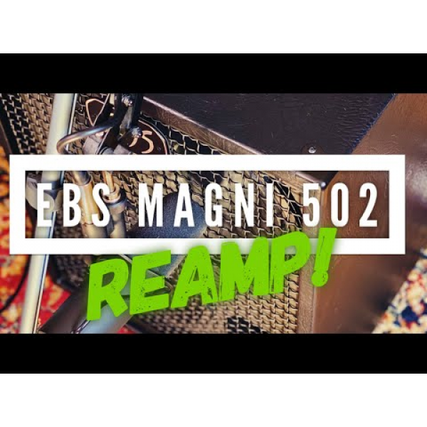 Комбопідсилювач басовий EBS Magni 502 6