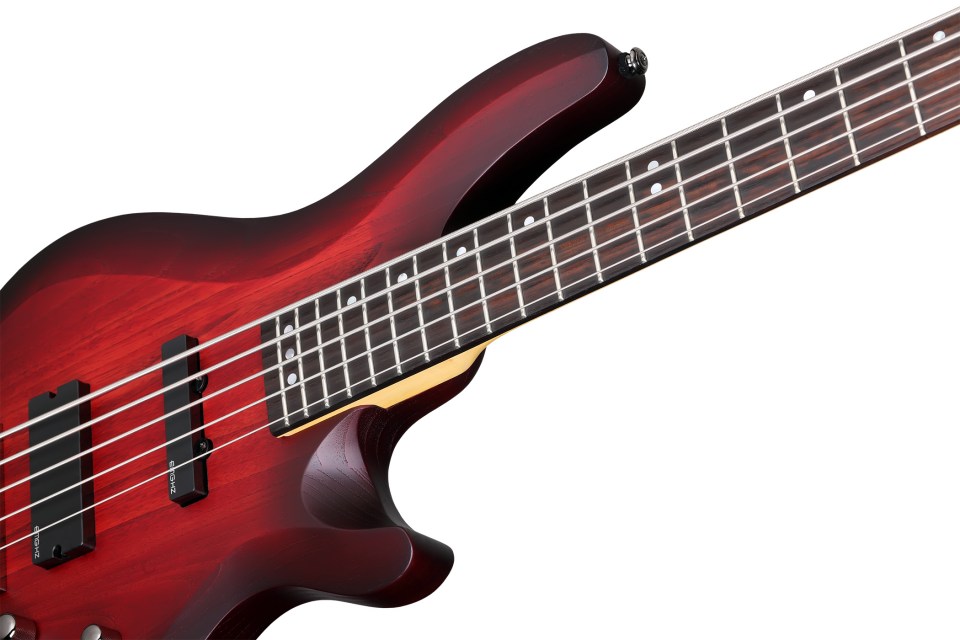 SCHECTER C-5 CUSTOM TCS - п'ятиструнна бас-гітара 4