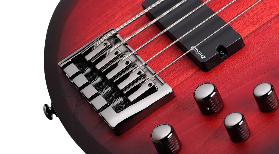 SCHECTER C-5 CUSTOM TCS - п'ятиструнна бас-гітара 5