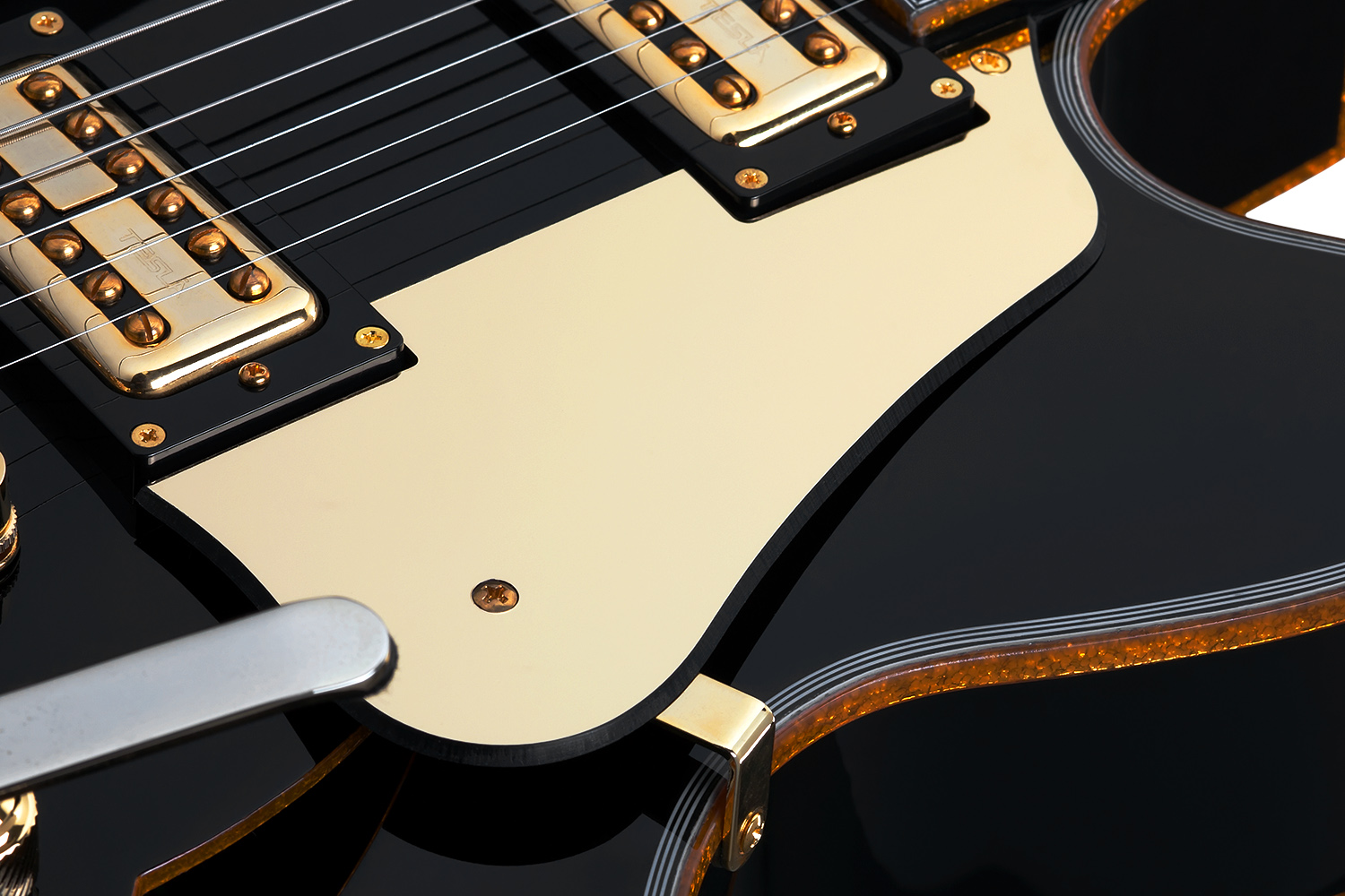 SCHECTER COUPE G.BLK - Полуакустическая электрогитара 11