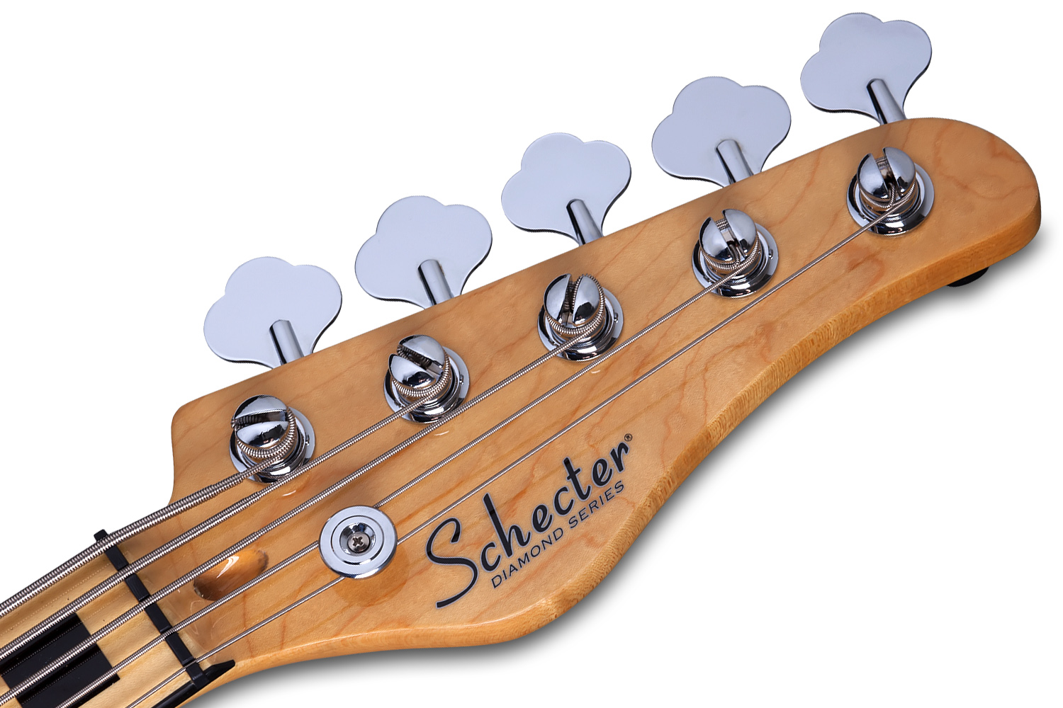 SCHECTER DIAMOND-J 5 PLUS AN - п'ятиструнна бас-гітара 9