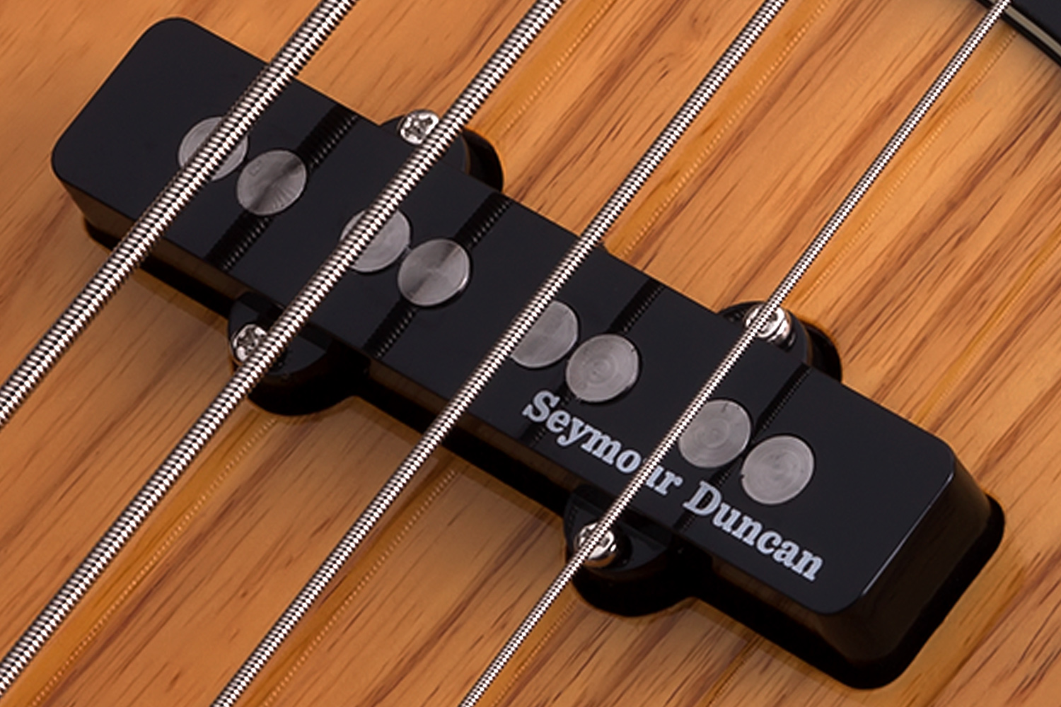 SCHECTER DIAMOND-J PLUS AN - чотириструнна бас-гітара 4