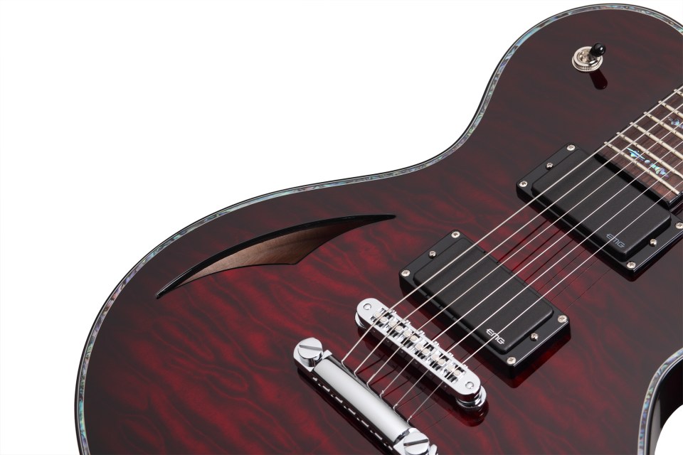 SCHECTER Hellraiser Solo-6 E/A BCH - Полуакустическая электрогитара 7