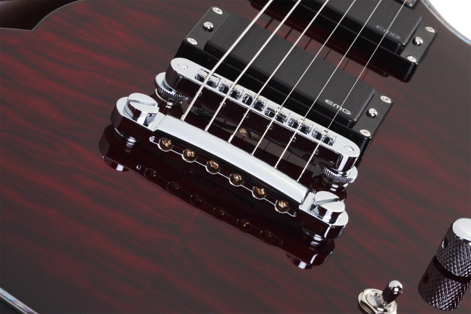 SCHECTER Hellraiser Solo-6 E/A BCH - Полуакустическая электрогитара 8