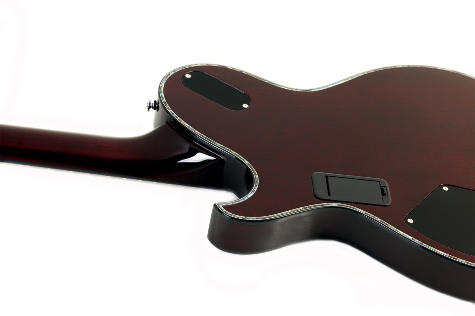 SCHECTER Hellraiser Solo-6 E/A BCH - Полуакустическая электрогитара 9