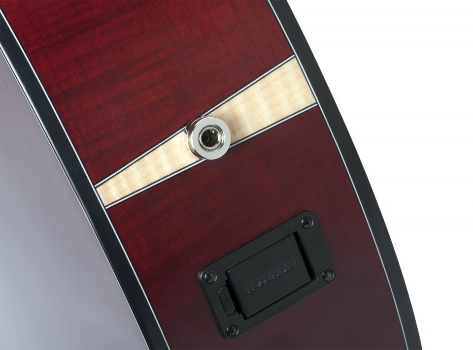 SCHECTER ORLEANS STAGE AC NS-VRS - Акустична гітара з вирізом і підключенням 10