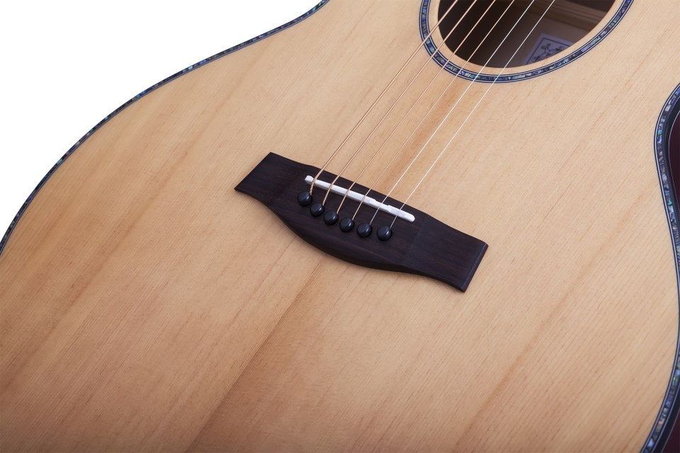 SCHECTER ORLEANS STAGE AC NS-VRS - Акустична гітара з вирізом і підключенням 8