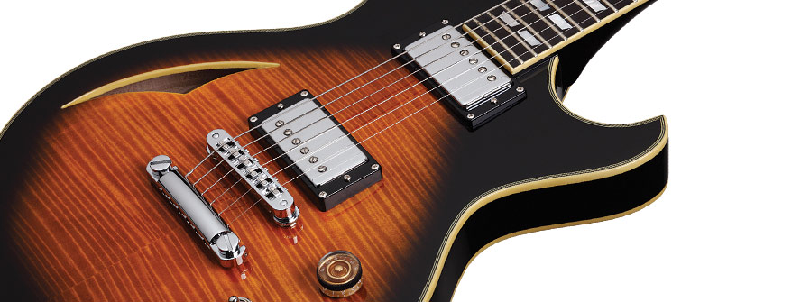 SCHECTER SOLO CUSTOM E/A DVS - Полуакустическая электрогитара 3