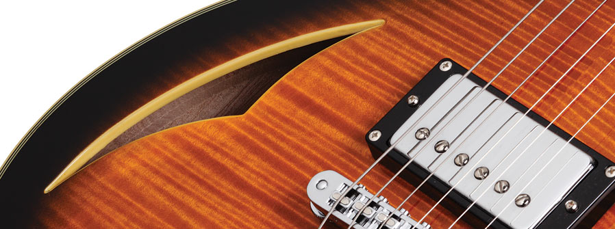 SCHECTER SOLO CUSTOM E/A DVS - Полуакустическая электрогитара 4