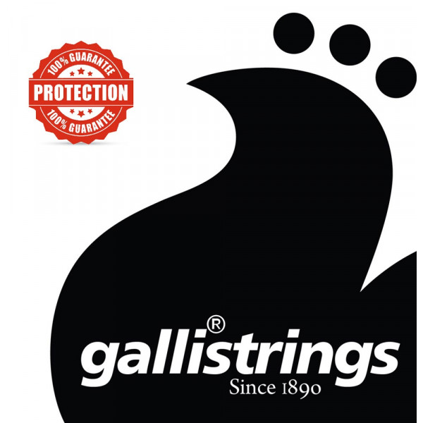 Струни для електрогітари Gallistrings D611 2
