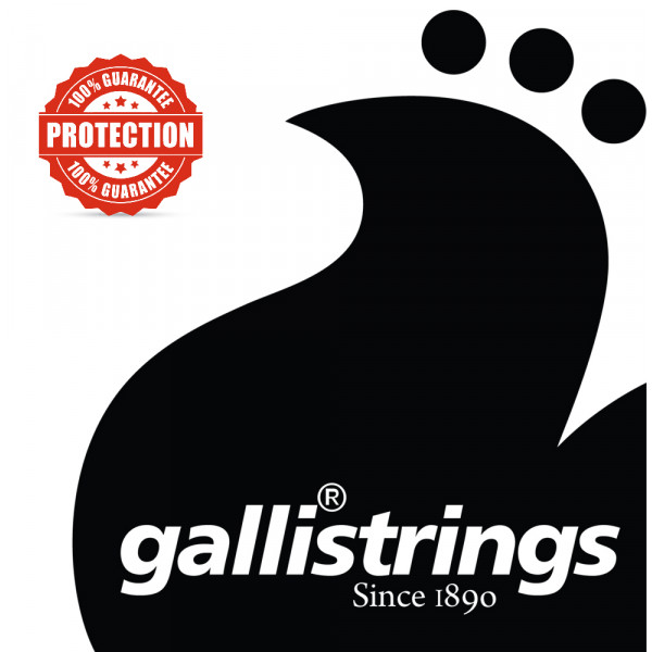 Струни для класичної гітари Gallistrings MS 110 NORMAL TNS 2