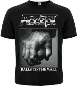 Футболка Accept 