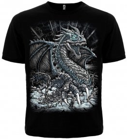 Футболка Dragon In Chains