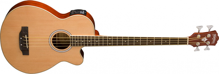 Акустична бас-гітара WASHBURN AB5