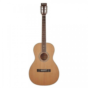 Гітара акустична Richwood RV-70-NT blues guitar