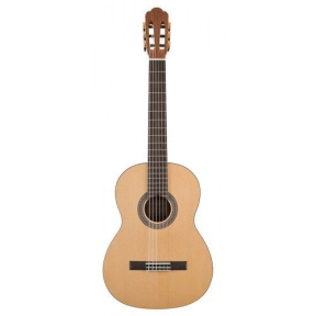 Гітара класична Salvador Cortez CS-244