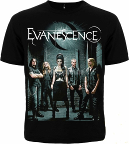 Футболка Evanescence