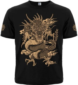 Футболка Dragon Power