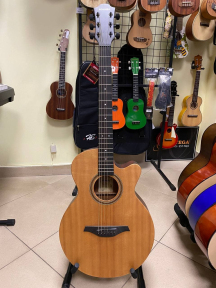 Электроакустическая гитара Hohner G2675S EP1-SD