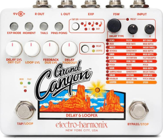 Гитарная педаль Electro-harmonix Grand Canyon Delay and Looper