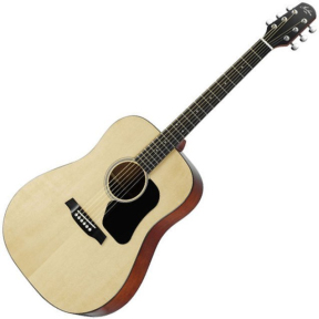 Акустична гітара Hawthorne HD220/B